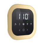 Mr. Steam 104232Rd-Pb Airtempo , Flush Mnt Kit Rd Raw-Polished Brass